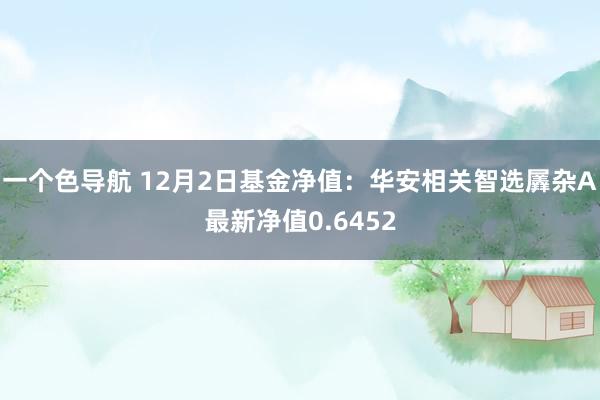 一个色导航 12月2日基金净值：华安相关智选羼杂A最新净值0.6452