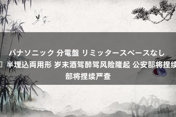 パナソニック 分電盤 リミッタースペースなし 露出・半埋込両用形 岁末酒驾醉驾风险隆起 公安部将捏续严查