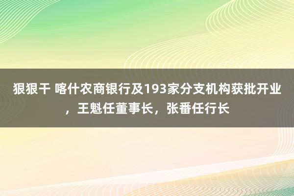 狠狠干 喀什农商银行及193家分支机构获批开业，王魁任董事长，张番任行长