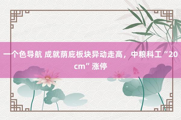 一个色导航 成就荫庇板块异动走高，中粮科工“20cm”涨停