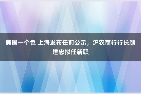 美国一个色 上海发布任前公示，沪农商行行长顾建忠拟任新职